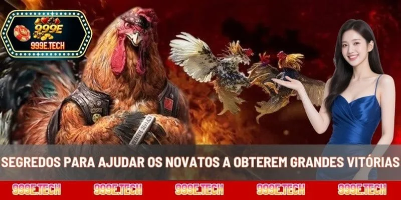 Segredos para ajudar os novatos a obterem grandes vitórias