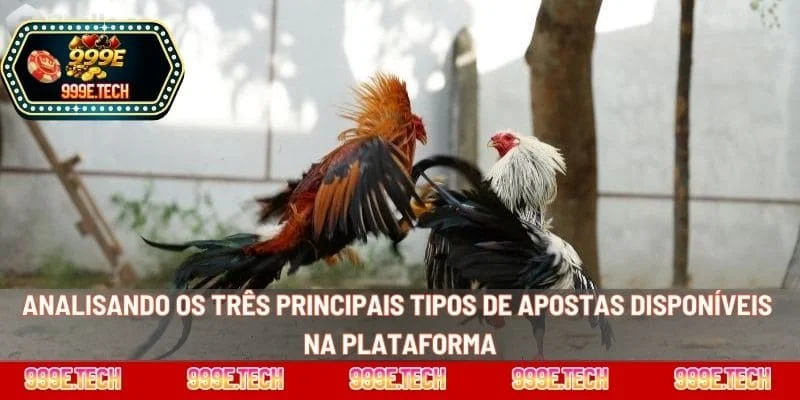 Analisando os três principais tipos de apostas disponíveis na plataforma