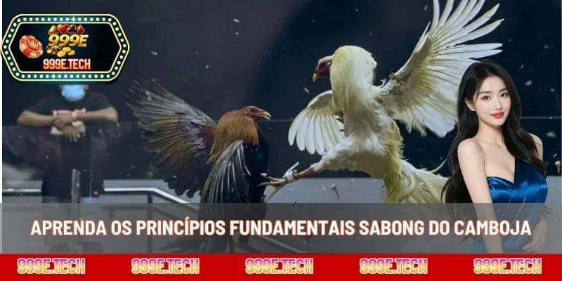 Aprenda os princípios fundamentais sabong do Camboja