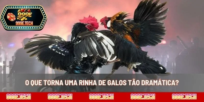 O que torna uma rinha de galos tão dramática?