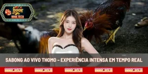 Sabong Ao Vivo Thomo – Experiência Intensa Em Tempo Real