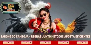 Sabong Do Camboja - Regras Junto Métodos Aposta Eficientes