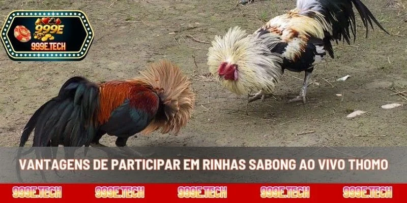 Vantagens de participar em rinhas sabong ao vivo Thomo